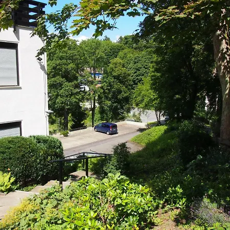 Harzgruen * Sankt Andreasberg