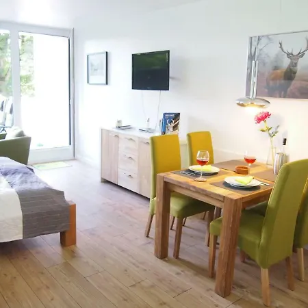Harzgruen Apartment Sankt Andreasberg